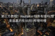 第三方教程！WePoKer软件有挂吗(原来是真的有挂的)-哔哩哔哩