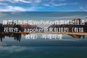 推荐几款新版WePoKer作弊辅助挂透视软件，aapoker原来有挂的（有挂教程）-哔哩哔哩