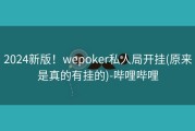 2024新版！wepoker私人局开挂(原来是真的有挂的)-哔哩哔哩