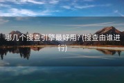 哪几个搜查引擎最好用? (搜查由谁进行)