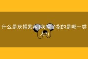 什么是灰帽黑客 (灰帽子指的是哪一类人?)