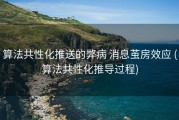 算法共性化推送的弊病 消息茧房效应 (算法共性化推导过程)
