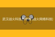 武汉战火科技的待遇 (战火网络科技)