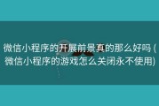 微信小程序的开展前景真的那么好吗 (微信小程序的游戏怎么关闭永不使用)