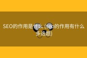 SEO的作用是什么 (seo的作用有什么多选题)