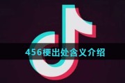 456和419是啥意思 (456和419是什么意思)