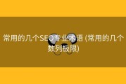 常用的几个SEO专业术语 (常用的几个数列极限)