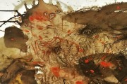 橘子上画画创意 (橘子上作画)