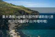 重大通报!wpk俱乐部作弊辅助挂!(透视)2024爆款平台(哔哩哔哩)