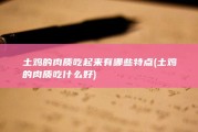 土鸡的肉质吃起来有哪些特点 (土鸡的肉质吃什么好)