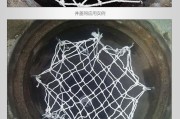 在哪里下载安卓的软件啊 (在哪下载安装包)