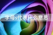– 什么是SEO 搜查引擎优化 (什么意思se)