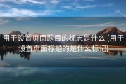 用于设置页面题目的标志是什么 (用于设置页面标题的是什么标记)