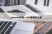 seosem公司，seo是哪家公司