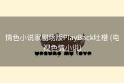 情色小说家剧场版PlayBack吐槽 (电视色情小说)