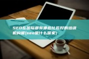 SEO在国际都有哪些比拟好的培训机构呢 (seo是什么国家)