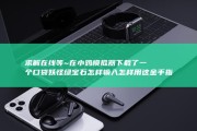 求解在线等~ 在小鸡模拟器下载了一个口袋妖怪绿宝石 怎样输入 怎样用这金手指 金手指 金手指称号 (在线求解答)