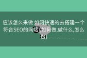 应该怎么来做 如何快速的去搭建一个符合SEO的网站 (如何做,做什么,怎么做)