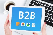 B2B网站中SEO应该以引什么流量为主 (b2b网站中国化工网属于)