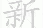 想做一个新网站的seo 须要培训哪些常识呢 (想做一个新网名怎么起)