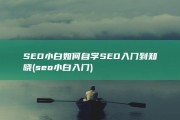 SEO小白如何自学SEO入门到知晓 (seo小白入门)