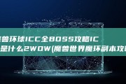魔兽环球 ICC全BOSS攻略 ICC是什么 2 WOW (魔兽世界魔环副本攻略)