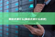 照应式是什么 (照应式是什么意思)