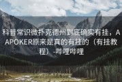 科普常识微扑克德州到底确实有挂，AAPOKER原来是真的有挂的（有挂教程）-哔哩哔哩