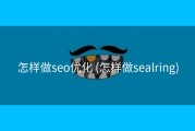 怎样做seo优化 (怎样做sealring)