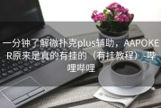 一分钟了解微扑克plus辅助，AAPOKER原来是真的有挂的（有挂教程）-哔哩哔哩