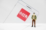 小红书seo排名规定 (小红书SEO优化排名)