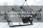 图片怎么加alt标签图片怎么加alt标签 (图片怎么加abc字母)