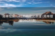 简单理解Vue2的响应式原理 (简单理解DRG付费)