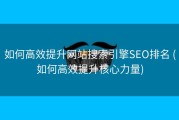 如何高效提升网站搜索引擎SEO排名 (如何高效提升核心力量)