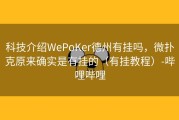 科技介绍WePoKer德州有挂吗，微扑克原来确实是有挂的（有挂教程）-哔哩哔哩