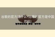 谷歌的官方是什么 (谷歌的官方是中国的吗)
