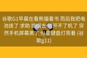 谷歌G1早晨在看熊猫看书 而后我把电池拔了 求助 插回去 就开不了机了 突然手机屏幕黑了 但是键盘灯亮着 (谷歌g11)