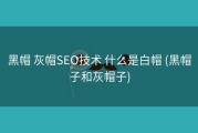 黑帽 灰帽SEO技术 什么是白帽 (黑帽子和灰帽子)