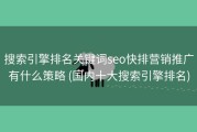 搜索引擎排名关键词seo快排营销推广有什么策略 (国内十大搜索引擎排名)