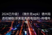 2024已升级！（微扑克wpk）德州局透视辅助(原来是真的有挂的)-哔哩哔哩