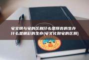 宅文明与宅的区别 什么是颓丧的生存 什么是精彩的生存 (宅文化和宅的区别)