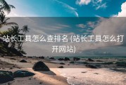 站长工具怎么查排名 (站长工具怎么打开网站)