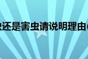 蜘蛛是益虫还是益虫