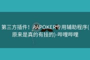 第三方插件！AAPOKER专用辅助程序(原来是真的有挂的)-哔哩哔哩