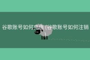 谷歌账号如何充值 (谷歌账号如何注销)
