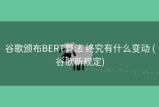 谷歌颁布BERT算法 终究有什么变动 (谷歌新规定)