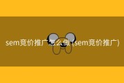 sem竞价推广怎么做 (sem竞价推广)