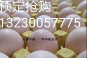 家鸡蛋和养殖鸡蛋的营养价值有哪些区别? (家鸡蛋和养殖鸡蛋怎么区别)