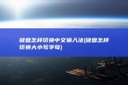 键盘怎样切换中文输入法 (键盘怎样切换大小写字母)