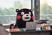 2015 年著名网红票选：熊本熊毫无争议闯入前 3 名